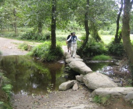 Camino bridge Photo - Quantrell